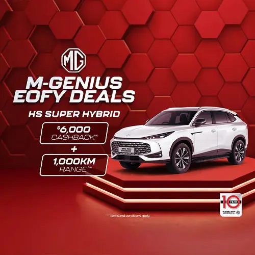 mg